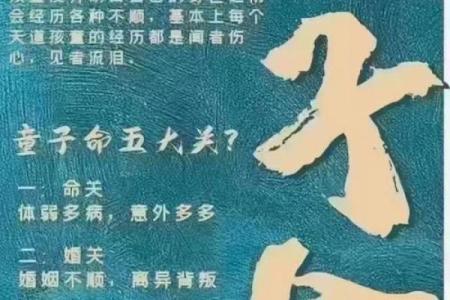 公婆的算命之事：儿子的命运究竟如何？