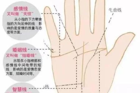 看手纹，解读你命中注定的未来与运势