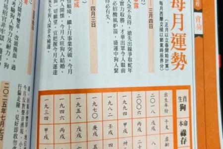 2018年属狗的人命运分析：探索命理的秘密与生活的启示