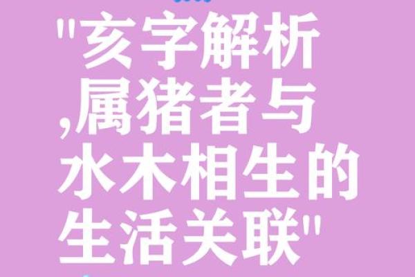 揭秘2019己亥猪的命理特征与生活影响，助你打破命运桎梏！