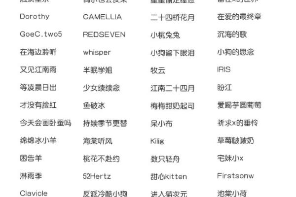金钗命女子如何取个独特网名，彰显个性与魅力