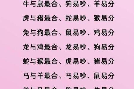 壹玖玖玖年属兔命运解析与人生启示