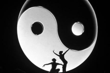 影背墙土命：探秘隐秘土壤的生命之源与魅力