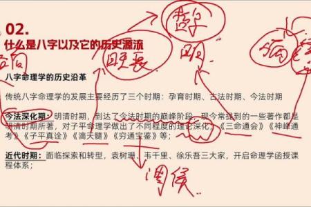 1982年出生的人：命理与人生之旅的探索