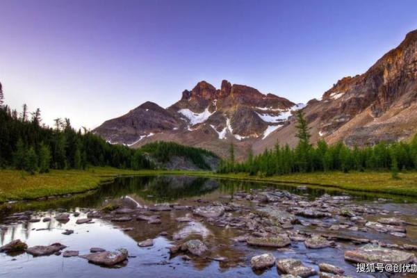 93年属鸡的命运分析:如何把握人生的关键点 93年属鸡的命运分析:如何把握人生的关键点
