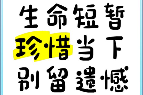 爱惜生命的意义：追寻生活的每一个精彩瞬间