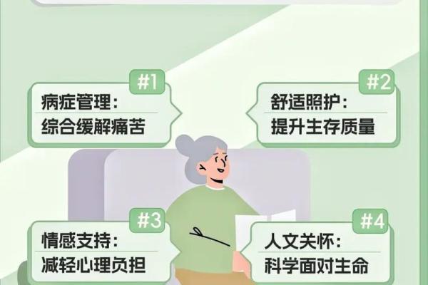 91命人的植物养护指南，助你生活更加安宁与和谐！