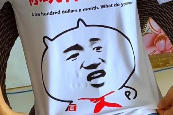 《游戏与人生的交织：探秘“你玩什么命啊”》