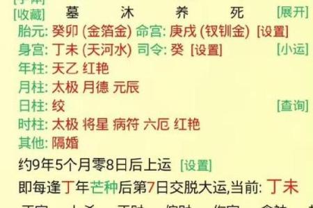 丁未年12月出生的人命运与性格解析