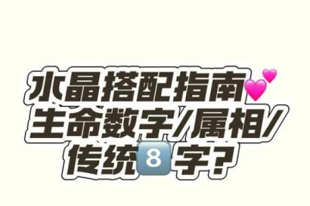 金命人与数字的完美结合：探索命理与数字的奥秘