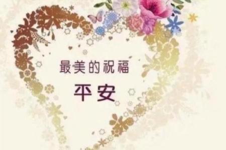 猪年出生的人命运揭秘：幸福与挑战的交织之旅