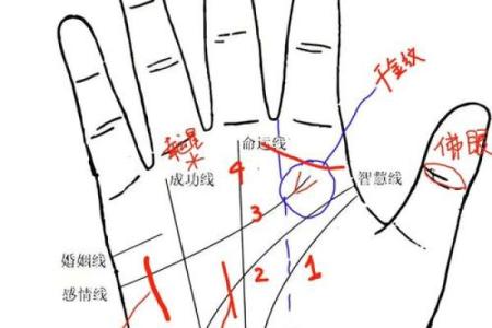 手指无斗的命运解析：揭示背后的命理玄机与生命智慧