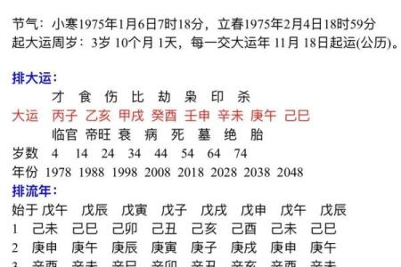 命理解读：丁酉年山下火的魅力与启示