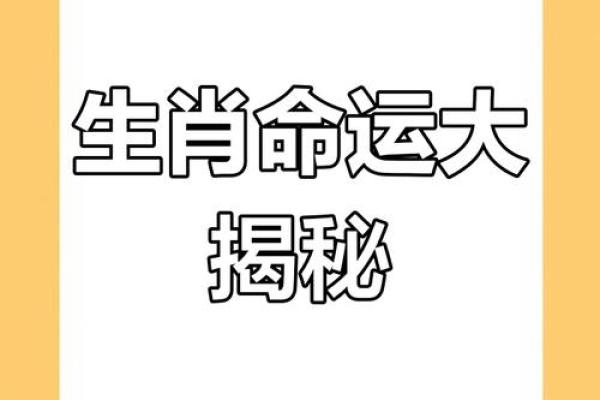 解命与生肖:探寻命运背后的动物象征与智慧 解命与生肖:探寻命运背后的动物象征与智慧
