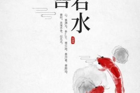 揭示女人出山虎命运的深刻解读与人生哲学