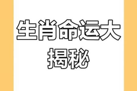 解命与生肖：探寻命运背后的动物象征与智慧