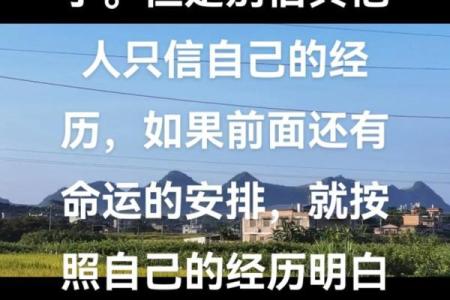 根据属相选择命运之路：提升你人生的智慧与方向