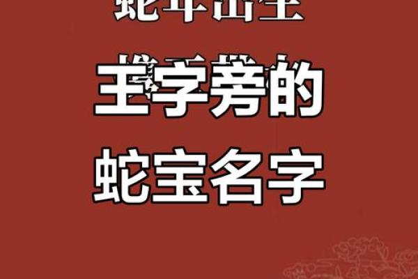 王字旁加个命,揭开命理的神秘面纱 王字旁加个命,揭开命理的神秘面纱