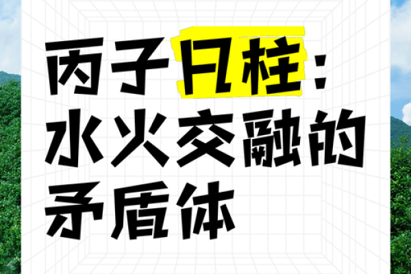 丙子命：探寻命理中火与水的交融之美