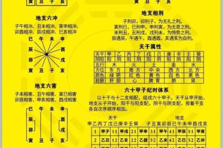 阴历一月的命运解析：新春之际的命理奥秘与人生智慧