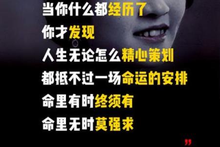 人生如梦，命归何处的沉思与探索