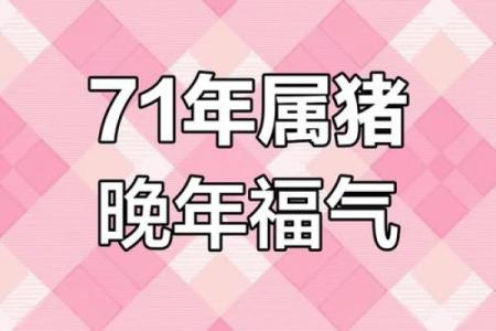 属猪女性的申时命运分析与生活智慧