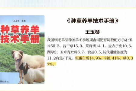 敬重之羊：解读羊年的命理与人生启示