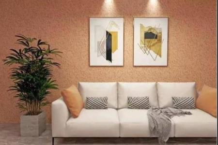 水命者的理想居家色彩：打造和谐居住环境的秘籍