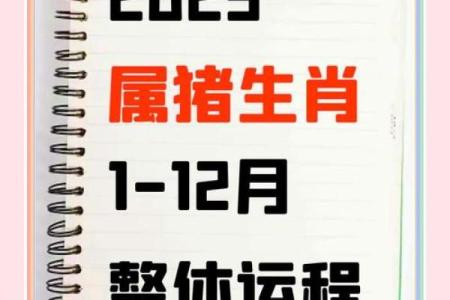 2023年属猪人的命运解析：如何迎接机遇与挑战