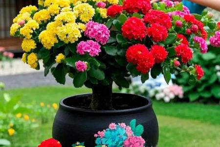 金命房间适合什么花，装点你的家居生活