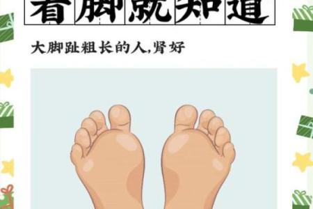 你的脚型决定你的命运：揭示足部与性格的奥秘