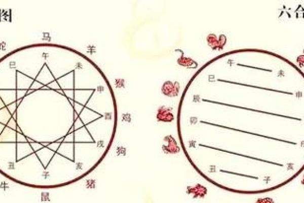 根据生肖解析你的命运，找到属于你的生活道路