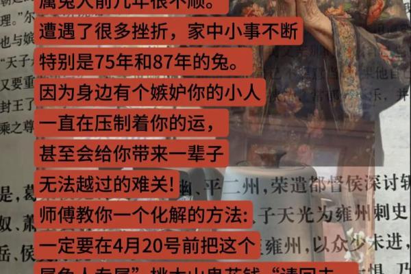 深度解析1951年兔子属什么命：从生肖看人生之路
