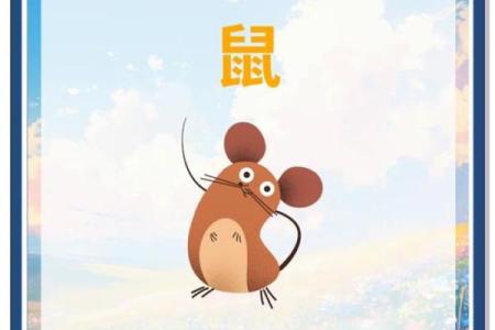 水命鼠的颜色选择：找到属于你的色彩秘密