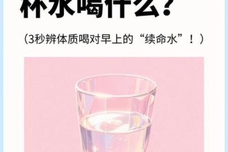金命人的杯子选择：打造完美饮品体验的秘诀