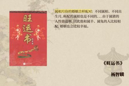 1995年属猪的命运与人生观探讨：解读猪年人的性格与运势