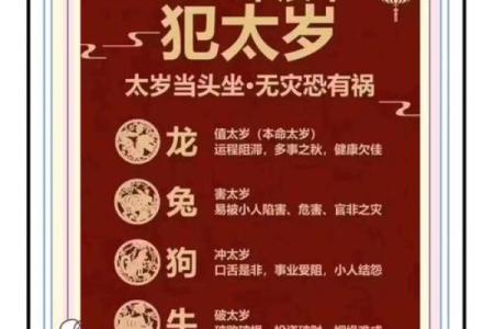 明年属牛人命运指南：2024年运势解析与人生规划