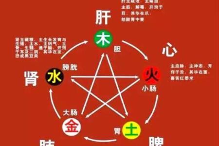 1963的命运与五行：揭示生活的奥秘与选择