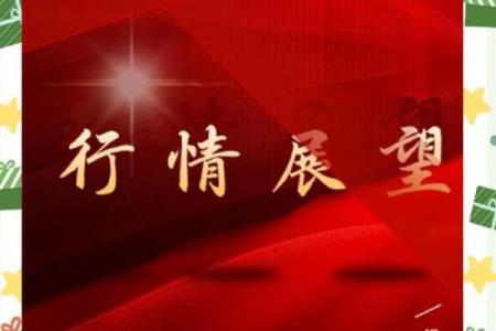 二零二三年：新起点下的机遇与挑战，探索未来的智慧与成长