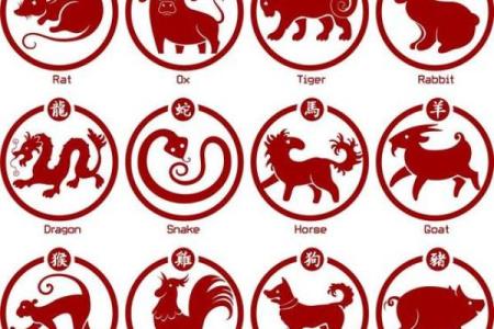 揭秘2016年出生宝宝的生肖与命理，未来运势一览无遗！