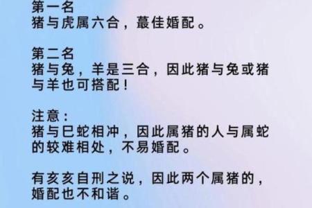 1995年属猪的人：性格、命运与人生启示