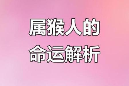 一九六八年属什么命？探寻这一年出生人的命运与性格特点！