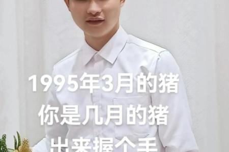 1995年的生肖与命理：揭秘猪年人的人生轨迹与性格特征