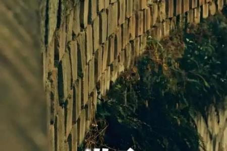 一命换一命：在生命的交错中寻找真爱的希望与勇气