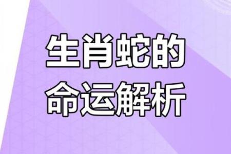 1970年属蛇的命运与运势解析：探索生命的奥秘与机遇