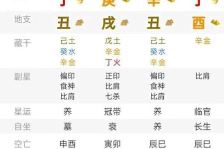 揭开辛丑年出生之人的命理奥秘与人生机遇