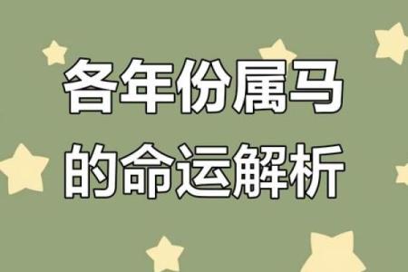 1978年属马的人命运解析与五行缺失的影响