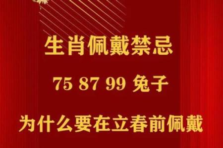 炉中火命喜什么数字：探寻数字与命运的深刻联系