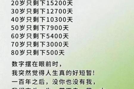 1987年出生的人命运解析：探索83年生人的独特人生轨迹与运势