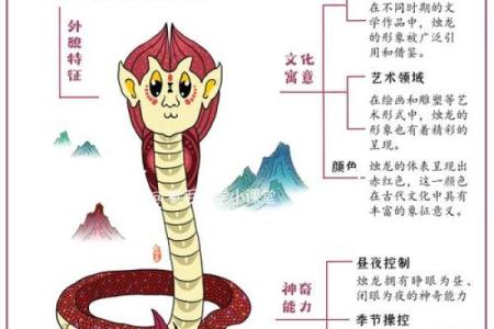 九命神龙：传说中的神秘生物与其象征意义探秘